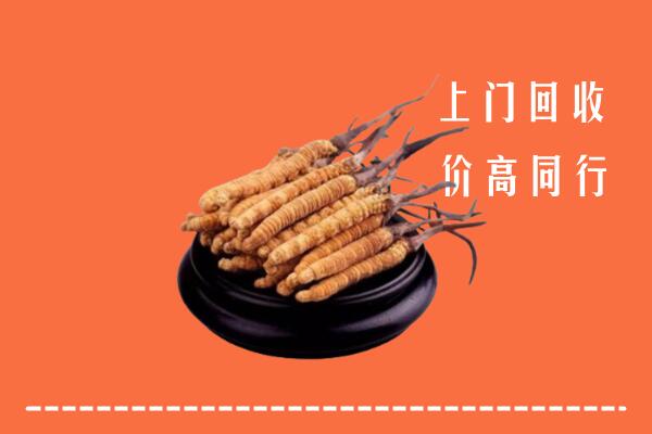 邕宁区回收冬虫夏草