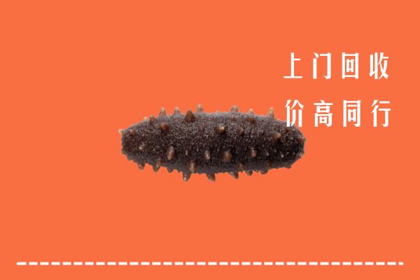 邕宁区回收海参